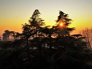 62 Il sole del tramonto filtra dalle piante